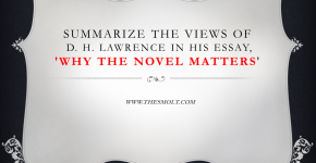 Why the novel matters