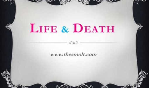 Write a critical estimate on life and death poem summary : Quotes 13 life and death poem summary