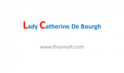 Character Analysis of Lady Catherine de Bourgh in pride and prejudice 3 Lady Catherine de Bourgh