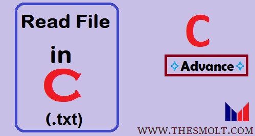 Read file in C