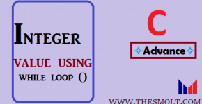Print integer value using while loop
