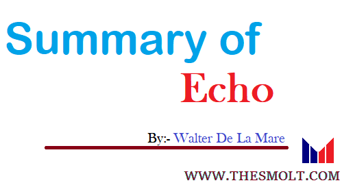 Summary of Echo