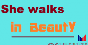 She Walks in Beauty Summary